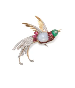 David Webb Brooches*Bird of Paradise Brooch