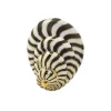David Webb Brooches*Shell Brooch